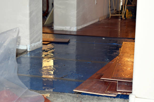 Professional Basement Flood Cleanup technician working in Wellington, TX